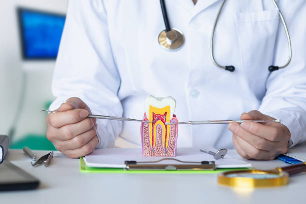 Best Emergency Dental Extractions in Williams, CA